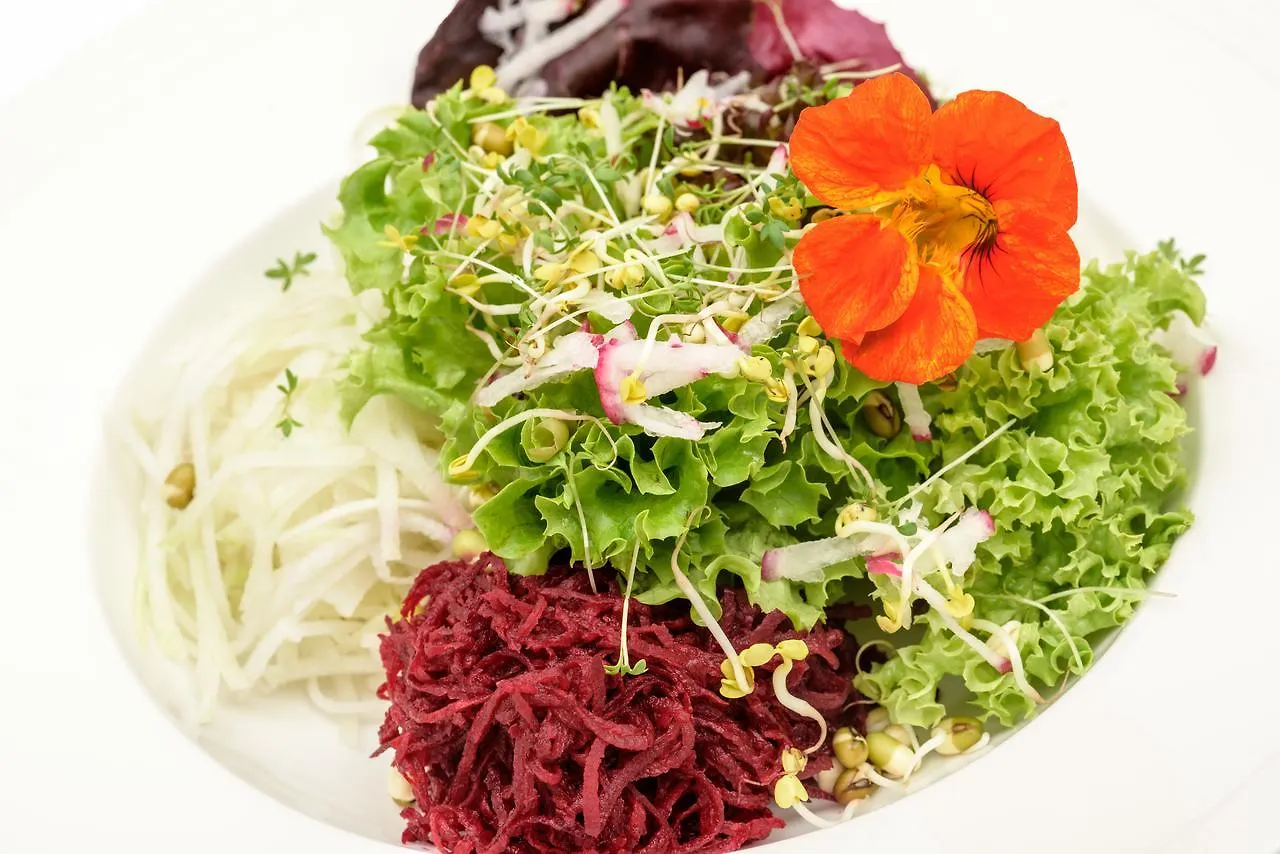 Berghues Schratt - Einfach Anders - Ihr Vegetarisches Und Veganes Biohotel Oberstaufen