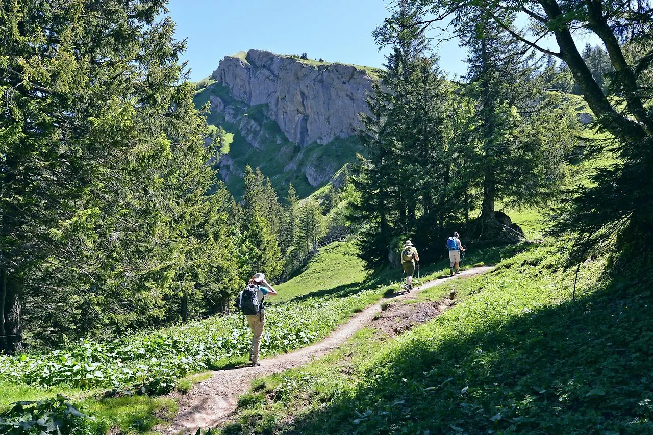 Berghues Schratt - Einfach Anders - Ihr Vegetarisches Und Veganes Biohotel Oberstaufen Hotel